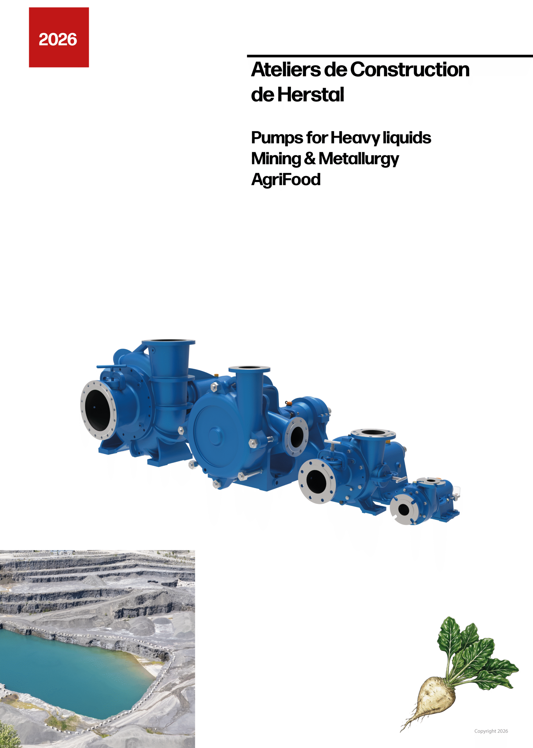 Catalog 1